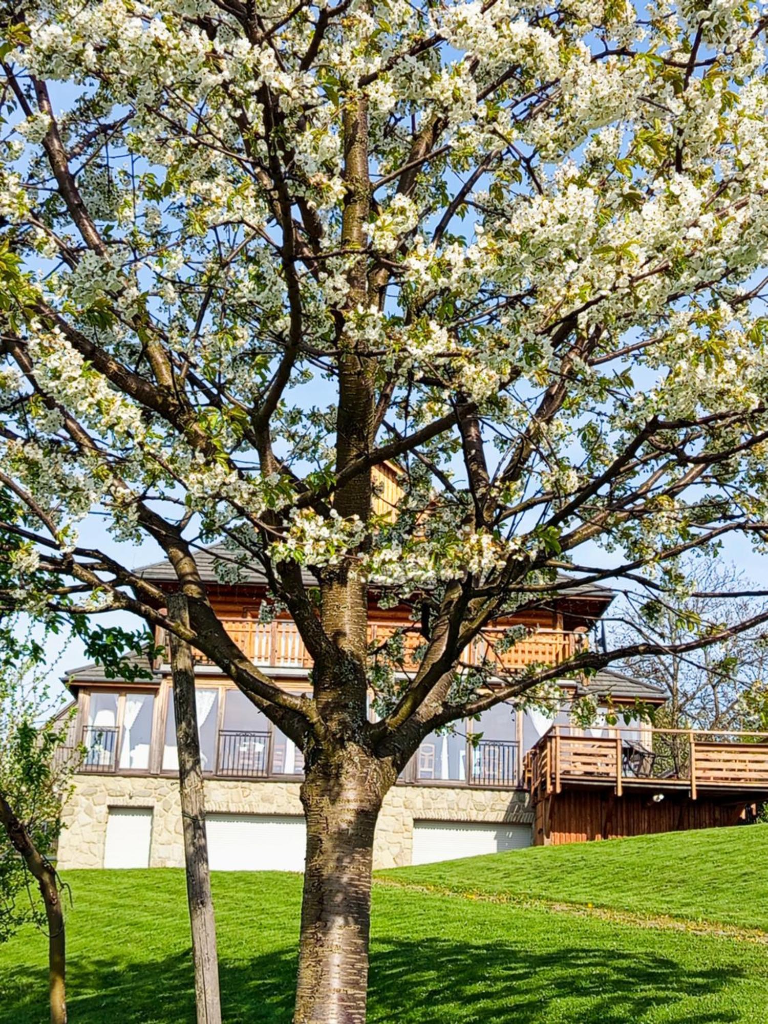 Bed and Breakfast Dom Na Rozcesciu Koniaków Exterior foto